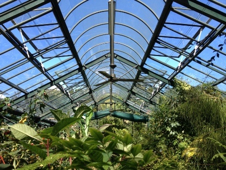 NPDC Fernery Upgrade